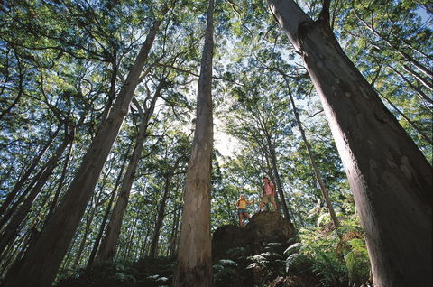 Leeuwin-Naturaliste National Park - Leeuwin - Attractions Melbourne 0