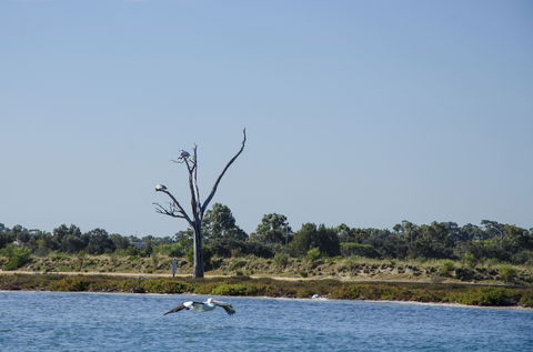 Mandurah Estuary And Peel Inlet - Attractions Melbourne 1