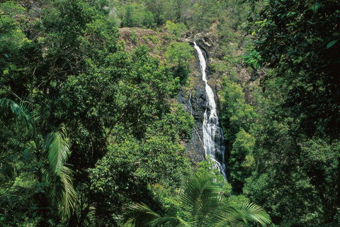 Mapleton Falls National Park - Attractions Melbourne 0