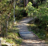 McDirtys Walking Track - Attractions Melbourne