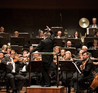 Melbourne Symphony Orchestra - Attractions Melbourne