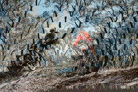 Mountain Bike Trails Deniliquin