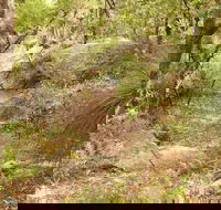 Mount Carnarvon Walking Track - Attractions Melbourne