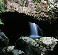 Natural Bridge Circuit Springbrook National Park - Attractions Melbourne