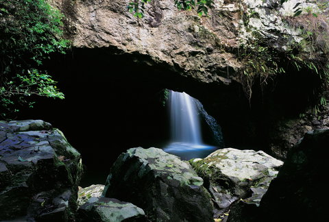 Natural Bridge Circuit, Springbrook National Park - Attractions Melbourne 0