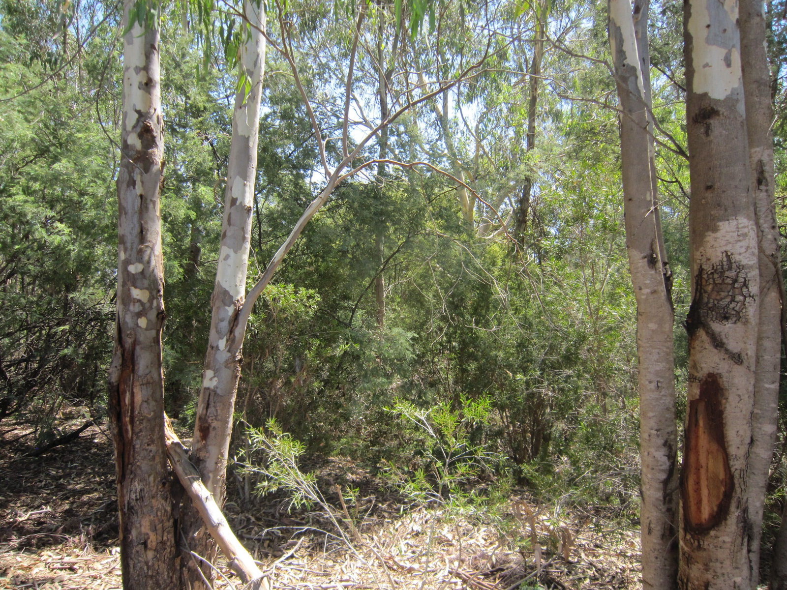 Wangaratta VIC Attractions Melbourne