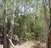 One Mile Creek shared path - Attractions Melbourne
