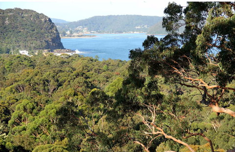 Patonga To Pearl Beach Walking Track - Attractions Melbourne 0