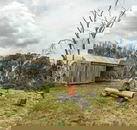 Patons Hut walking track - Attractions Melbourne