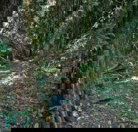 Pholis Gap Walking Track - Attractions Melbourne