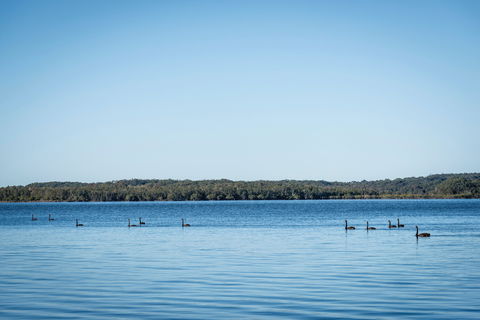 Queens Lake Picnic Area - Attractions Melbourne 1