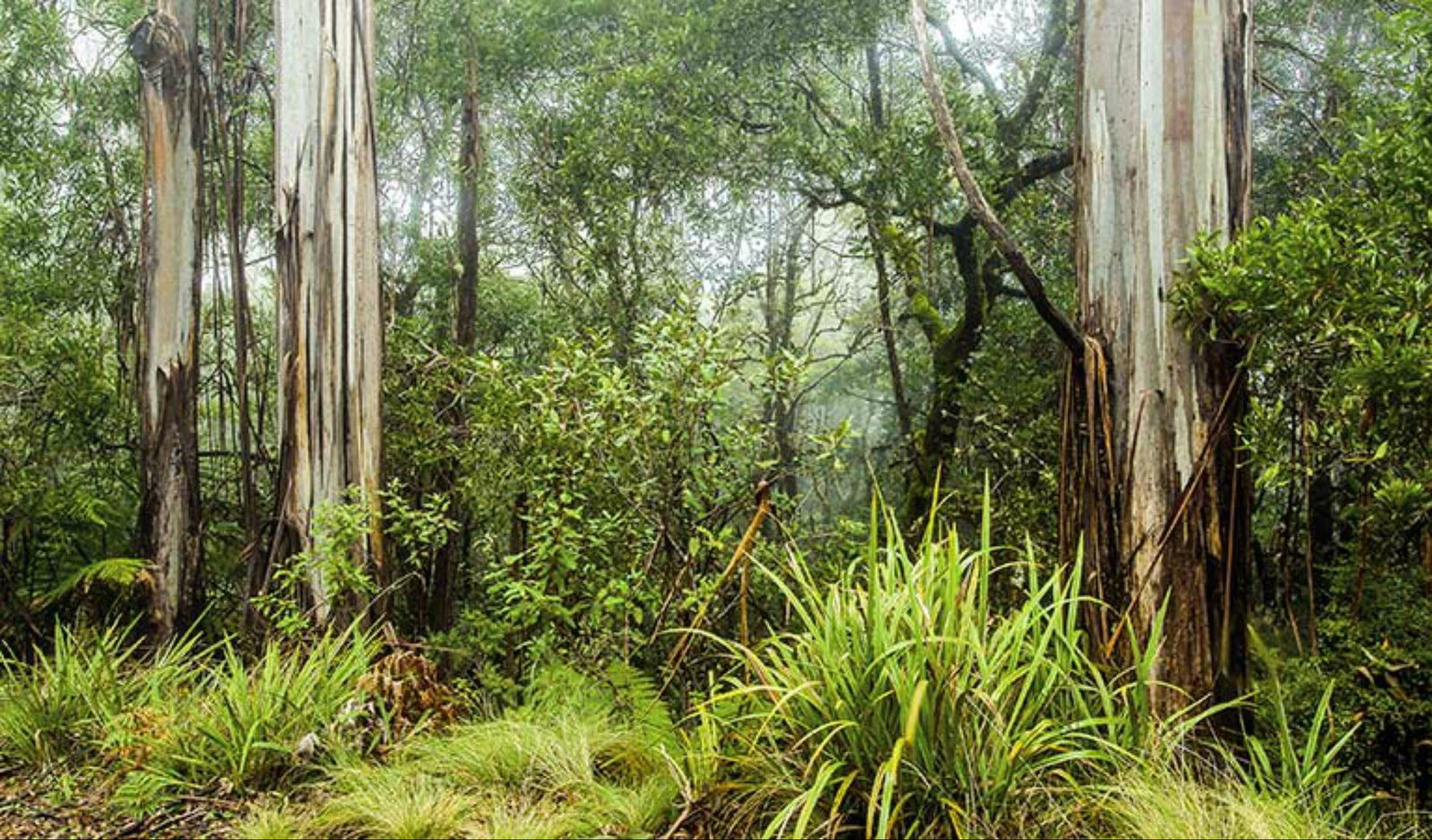 Afterlee NSW Attractions Melbourne