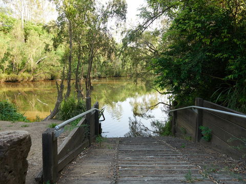 Shapcott Park - Attractions Melbourne 0