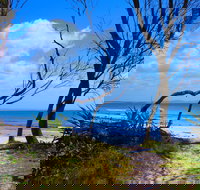 Shark Bay - Attractions Melbourne