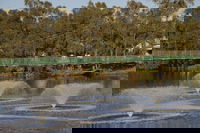 Suspension Bridge
