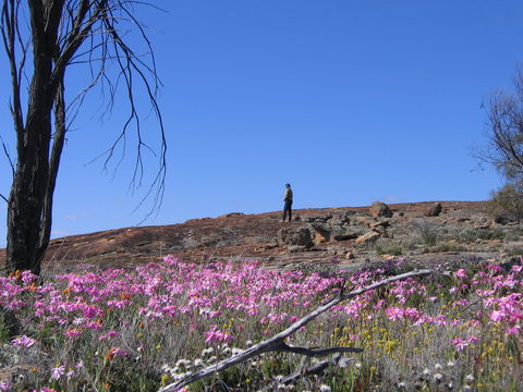 Talgomine Reserve - Attractions Melbourne 0