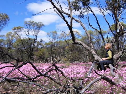 Talgomine Reserve - Attractions Melbourne 1