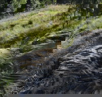 Terramungamine Rock Grooves - Attractions Melbourne