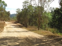 The Bloomfield Track