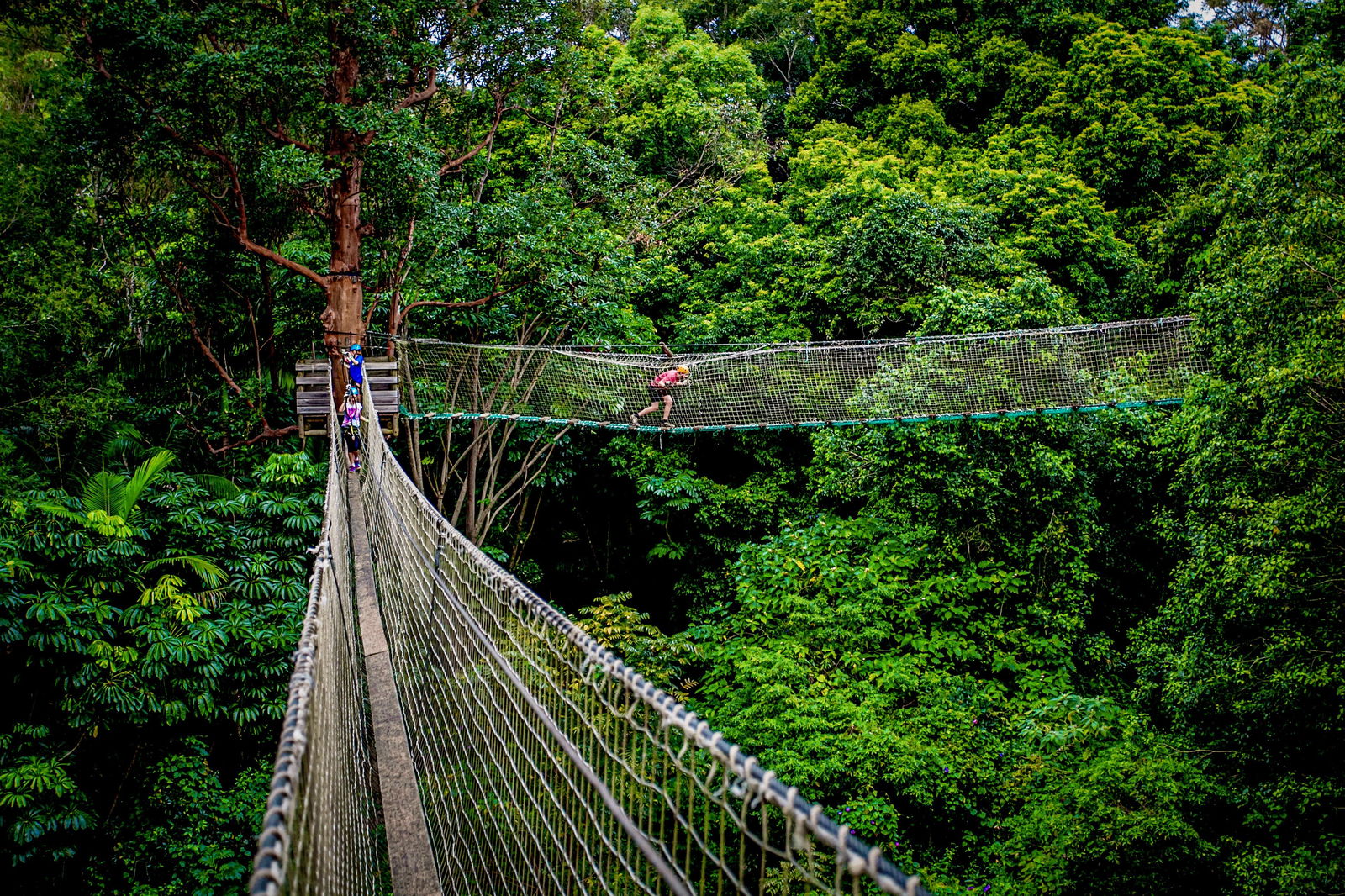  Attractions Melbourne