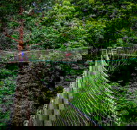 Thunderbird Park  - Tamborine Mountain Gold Coast Region - Attractions Melbourne