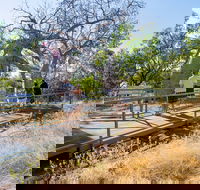 Timber Creek - Attractions Melbourne