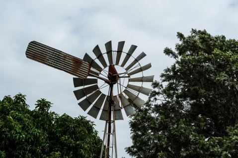 Tinaberries - Attractions Melbourne 0