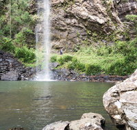 Twin Falls Circuit Springbrook National Park - Attractions Melbourne