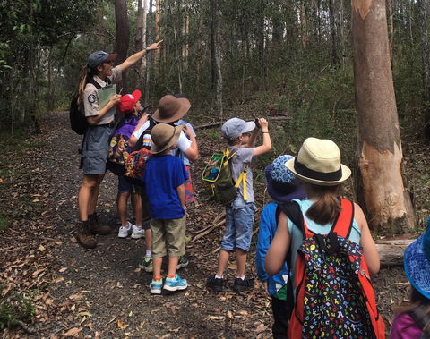 Walkabout Creek Discovery Centre - Attractions Melbourne 1