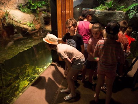 Walkabout Creek Discovery Centre - Attractions Melbourne 2