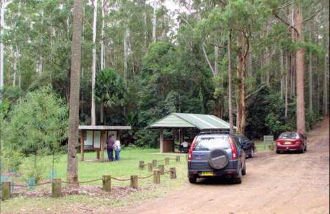 Wallingat Forest Drive - Attractions Melbourne 0