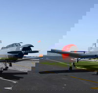 Warrior Warbirds - Open - Attractions Melbourne