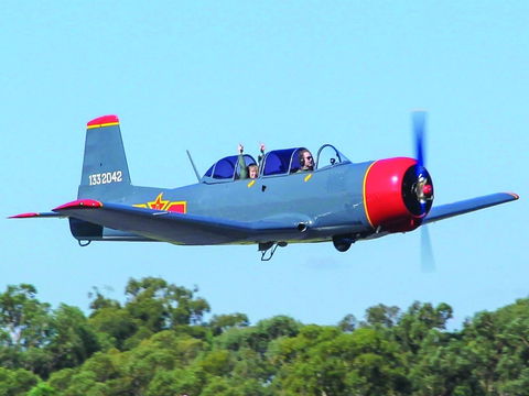 Warrior Warbirds - Open - Attractions Melbourne 1