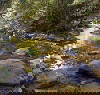 Washpool Walking Track - Attractions Melbourne