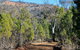 Weddin Gap To Black Spring Loop Trail - thumb 0