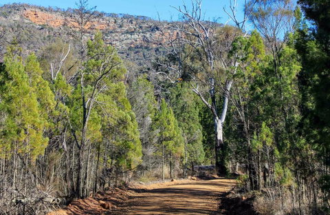 Weddin Gap To Black Spring Loop Trail - Attractions Melbourne 0