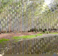 Wonga Wetlands - Attractions Melbourne