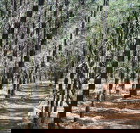 Yana-y Warruwi Walking Track - Attractions Melbourne
