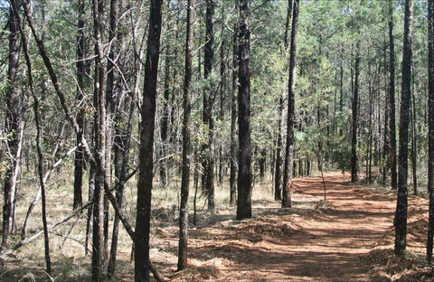 Yana-y Warruwi Walking Track - Attractions Melbourne 0