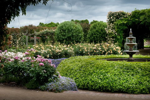 Alowyn Gardens And Nursery - Attractions Melbourne 1