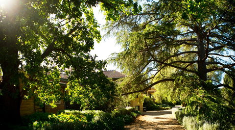 Anlaby - Attractions Melbourne 1