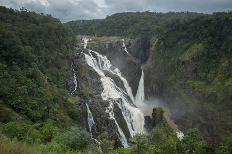 Barron Falls Lookout Track, Barron Gorge National Park - Attractions Melbourne 0