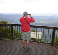 Best of All lookout track Springbrook National Park - Attractions Melbourne