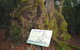 Best Of All Lookout Track, Springbrook National Park - thumb 2