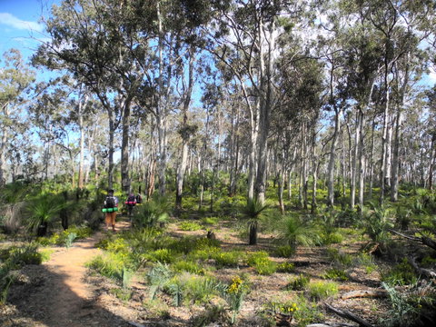 Bibbulmun Track - Attractions Melbourne 1
