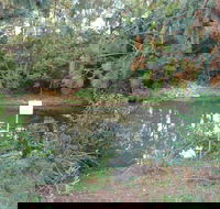 Birdwing Butterfly Walk - Attractions Melbourne