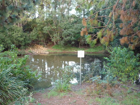 Birdwing Butterfly Walk - Attractions Melbourne 0