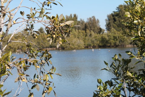 Boyters Lane Bird Hide - Attractions Melbourne 2