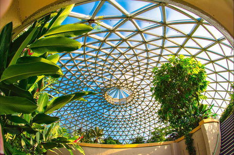 Brisbane Botanic Gardens Mount Coot-tha - Attractions Melbourne 0