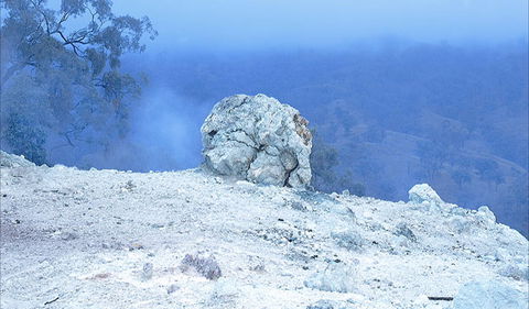 Burning Mountain Nature Reserve - Attractions Melbourne 1